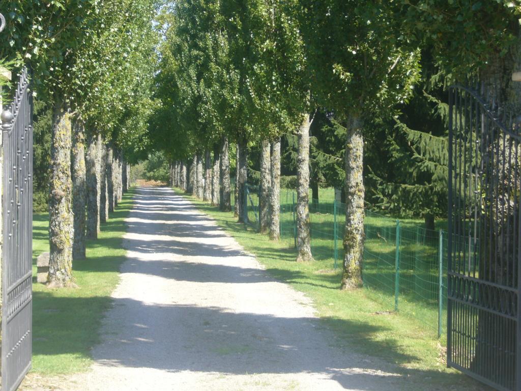 Allee Des Peupliers Bed and Breakfast Chevigny Eksteriør billede